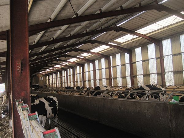 Expert agricole Clermont-Ferrand